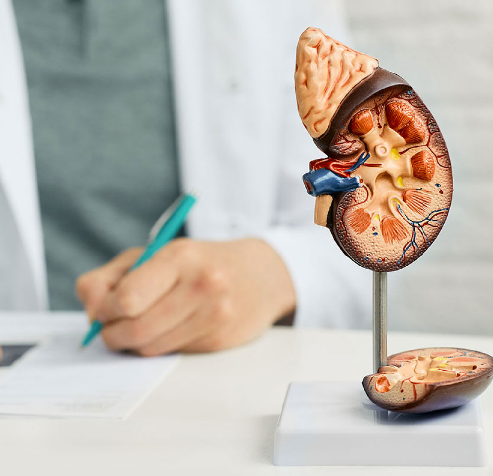 centro-de-la-litiasis-urodianostico