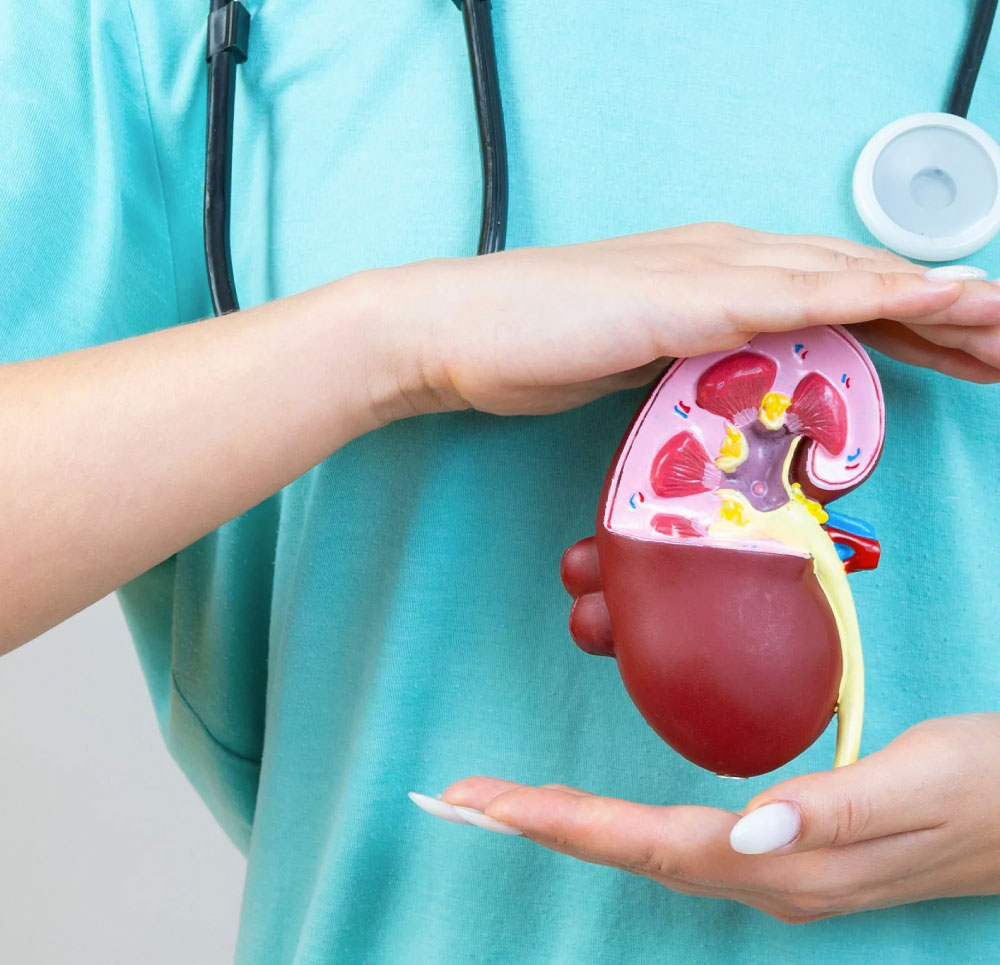 clinica-de-la-insuficiencia-renal-urodianostico