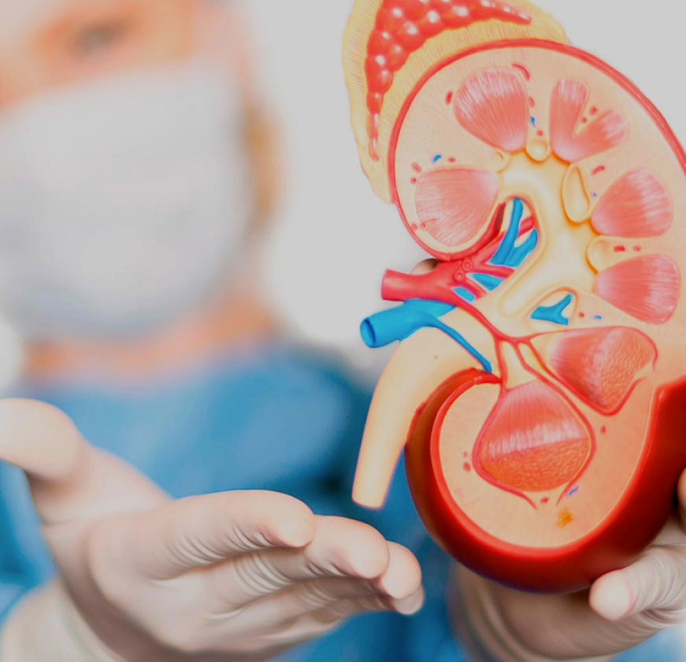 clinica-de-la-oncologia-urologica-urodianostico