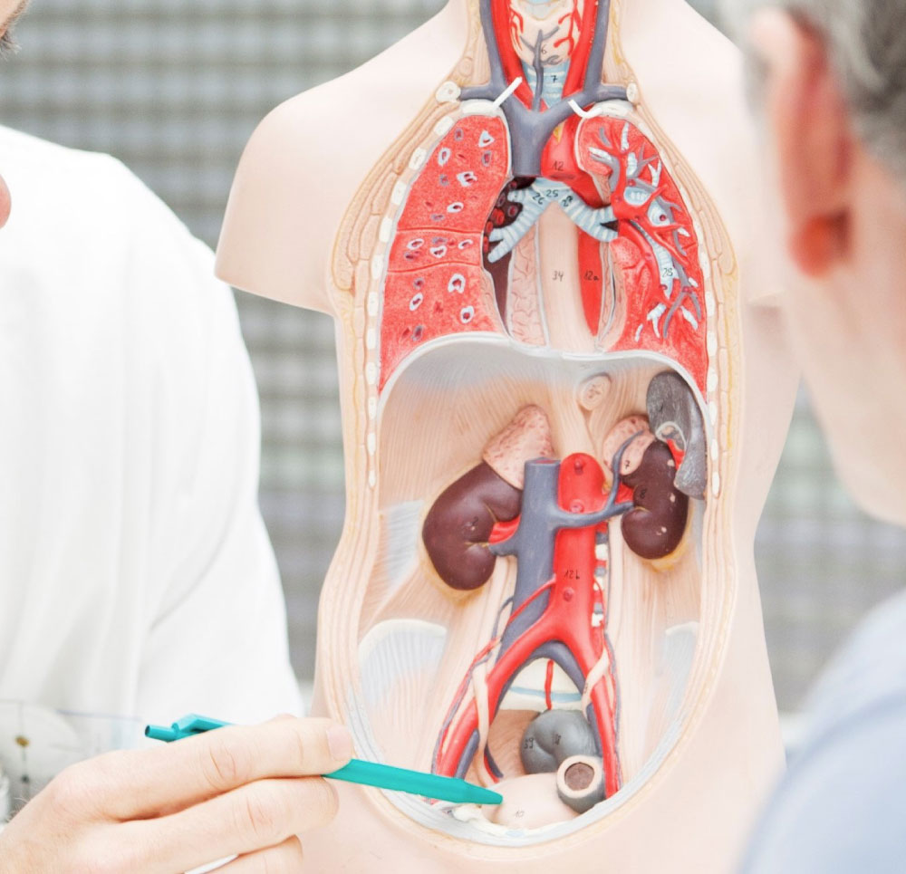 clinica-de-la-prostata-urodianostico